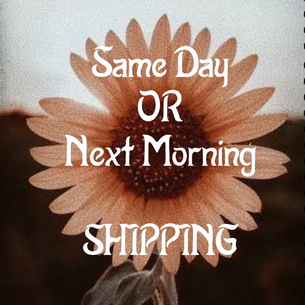 Same Day/ Next Morning Shipping